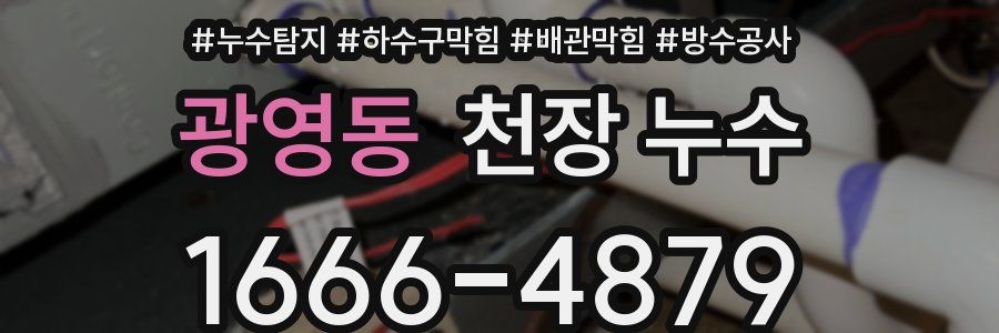 광영동 천장 누수