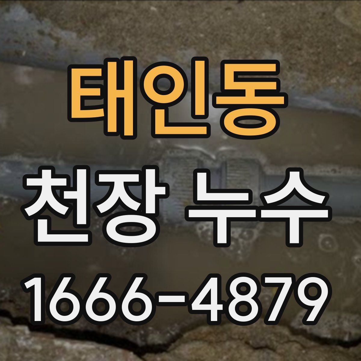 태인동 천장 누수