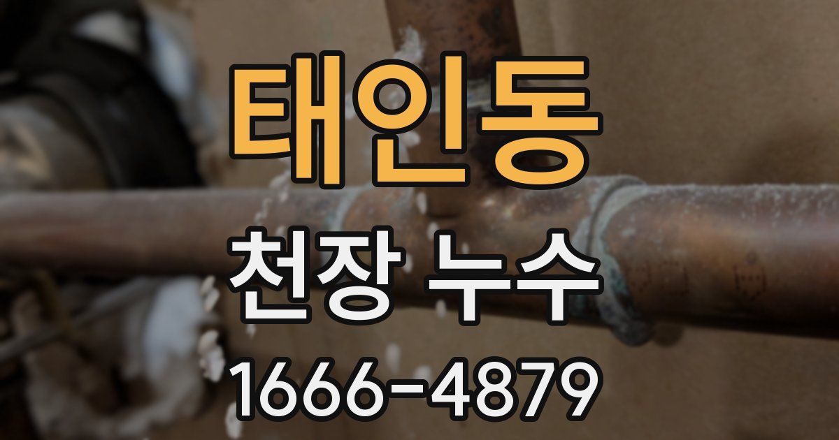태인동 천장 누수