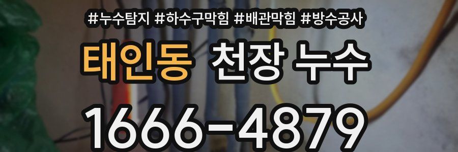 태인동 천장 누수