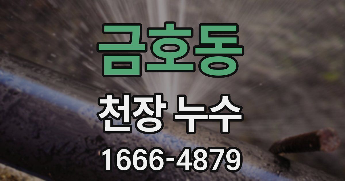 금호동 천장 누수