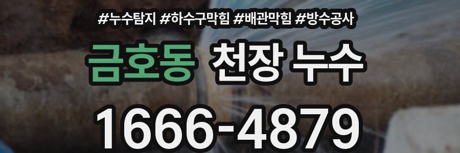 금호동 천장 누수