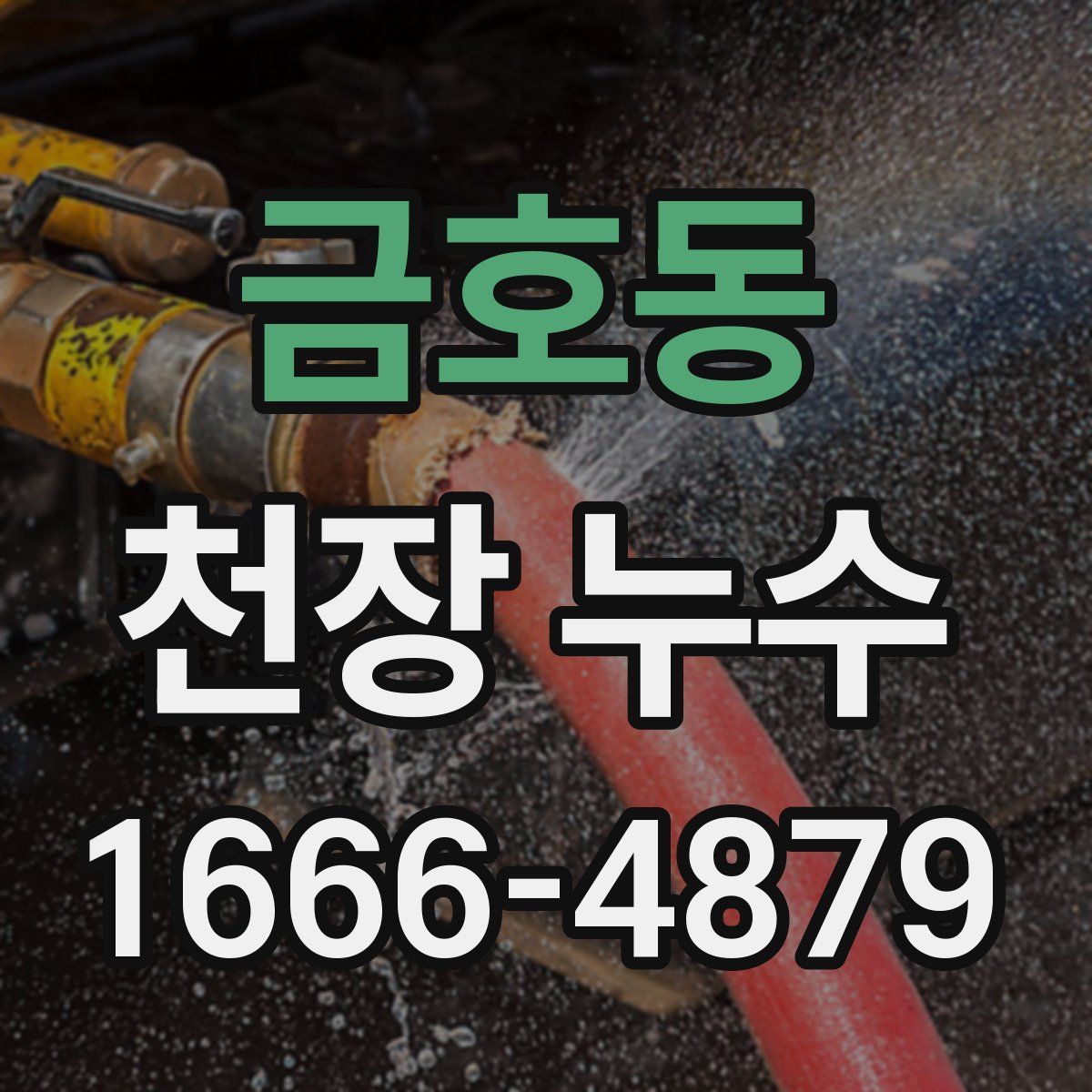 금호동 천장 누수