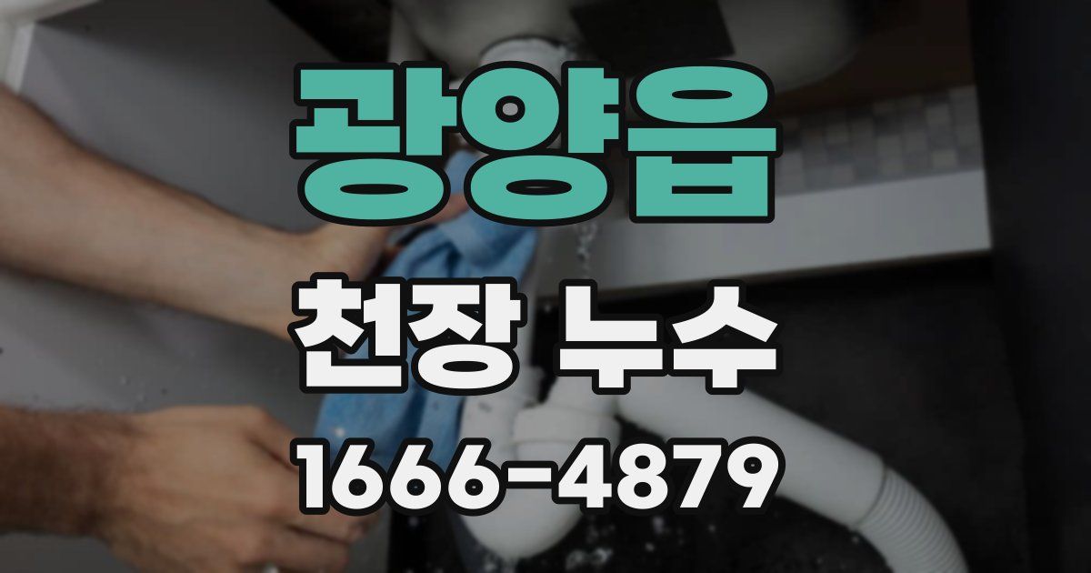 광양읍 천장 누수