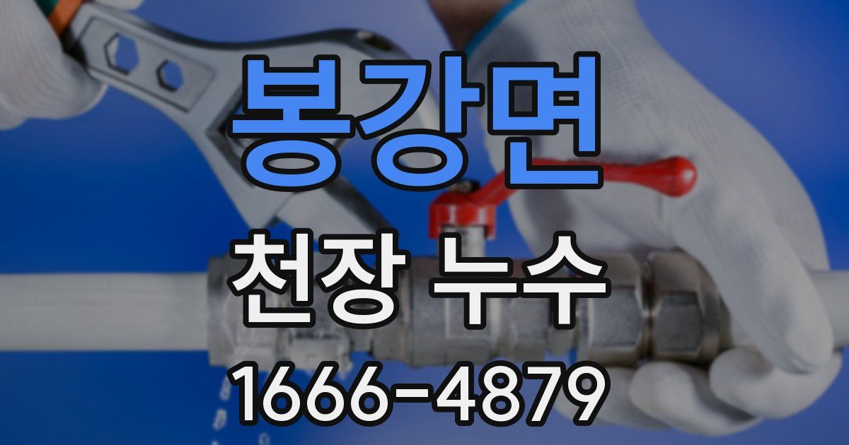 봉강면 천장 누수
