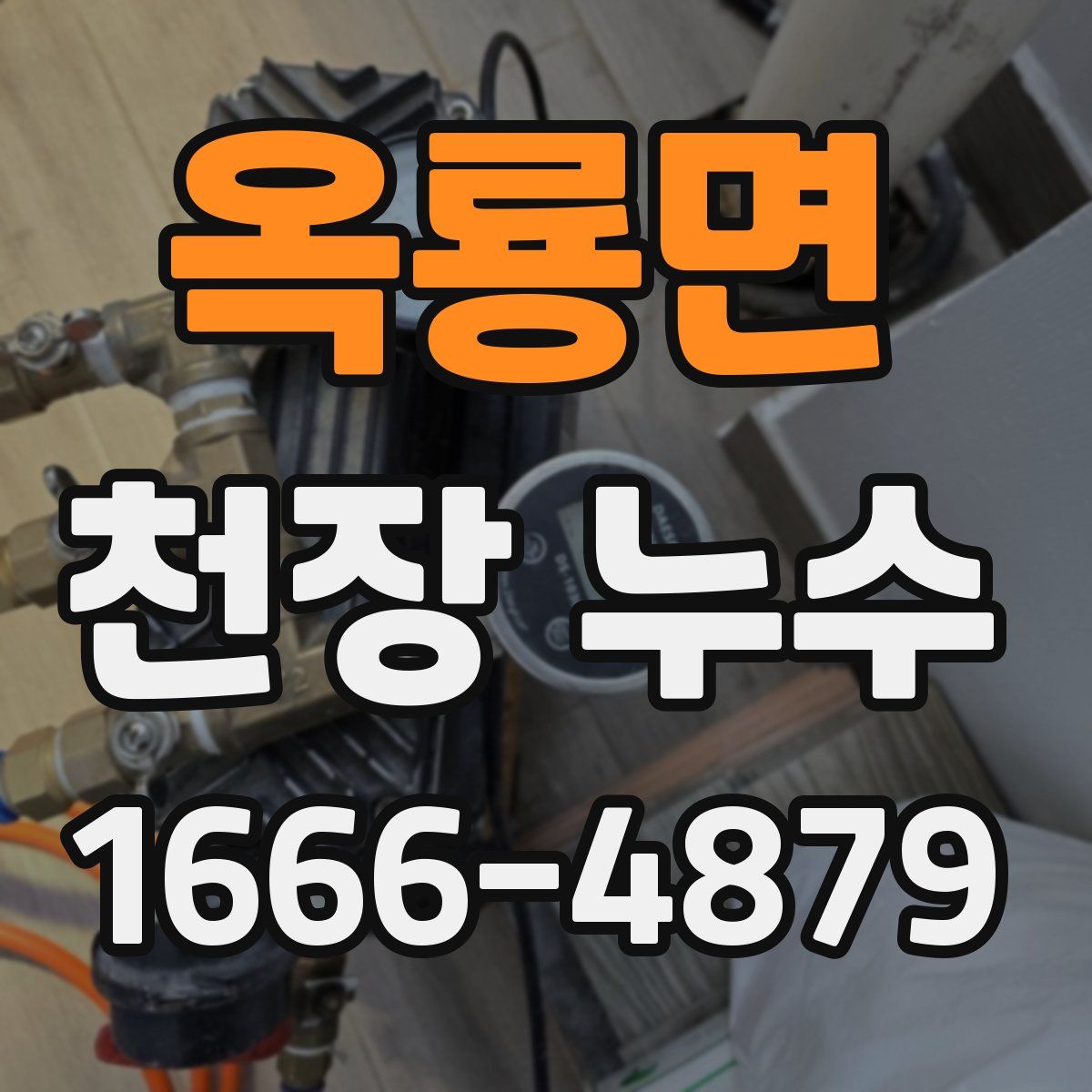 옥룡면 천장 누수