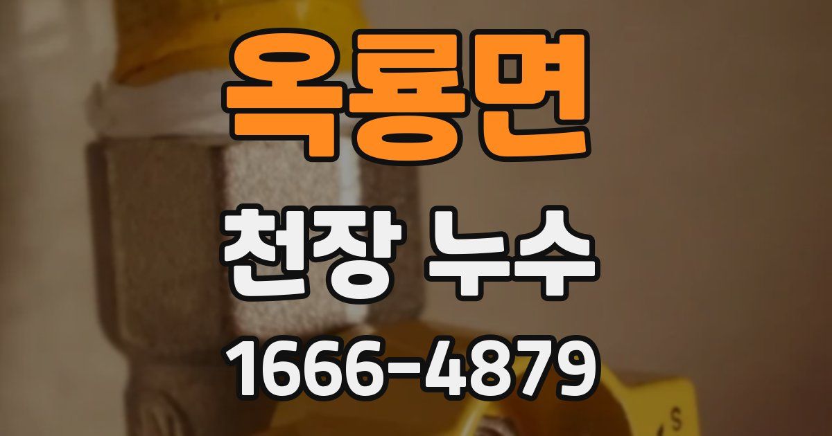 옥룡면 천장 누수