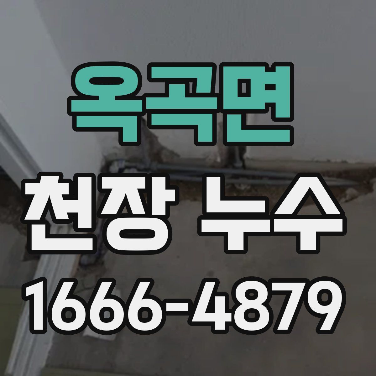 옥곡면 천장 누수