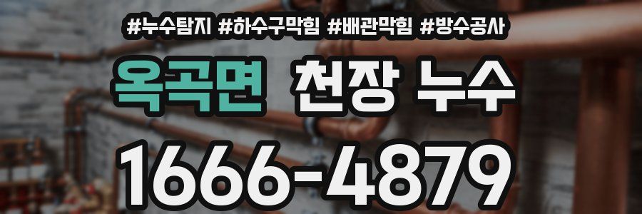 옥곡면 천장 누수