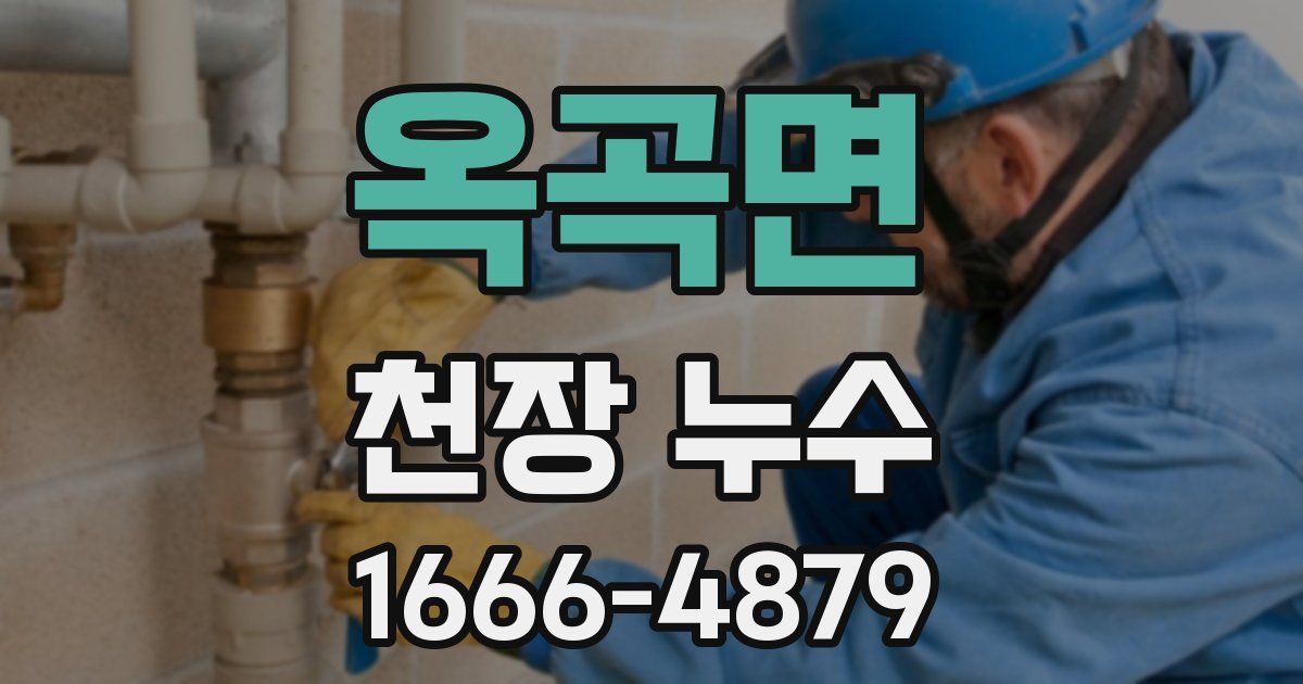 옥곡면 천장 누수