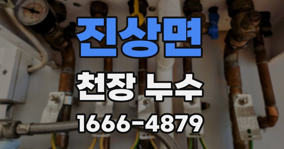 진상면 천장 누수