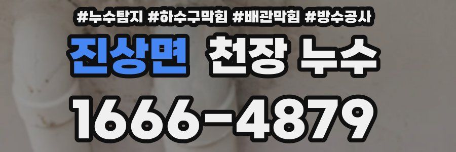 진상면 천장 누수