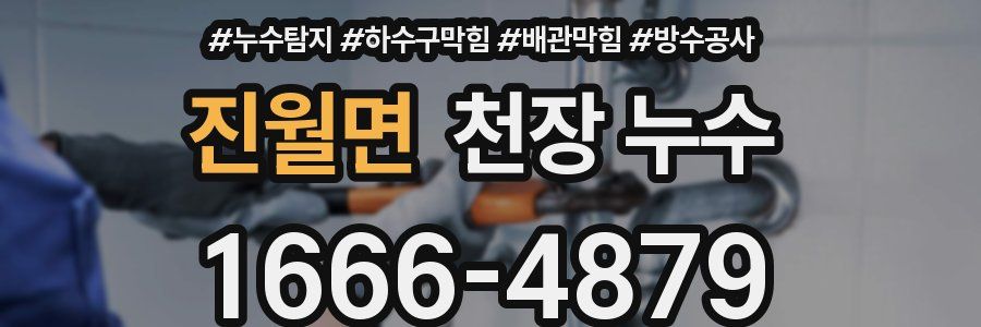 진월면 천장 누수