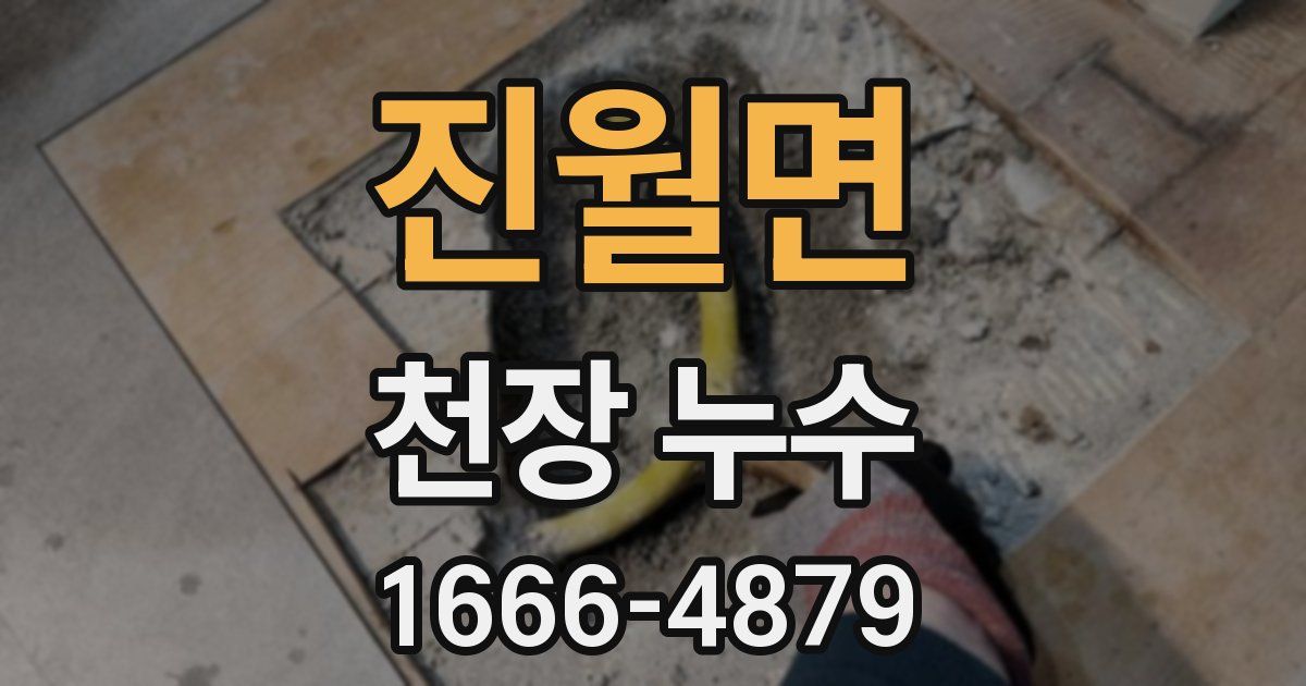 진월면 천장 누수