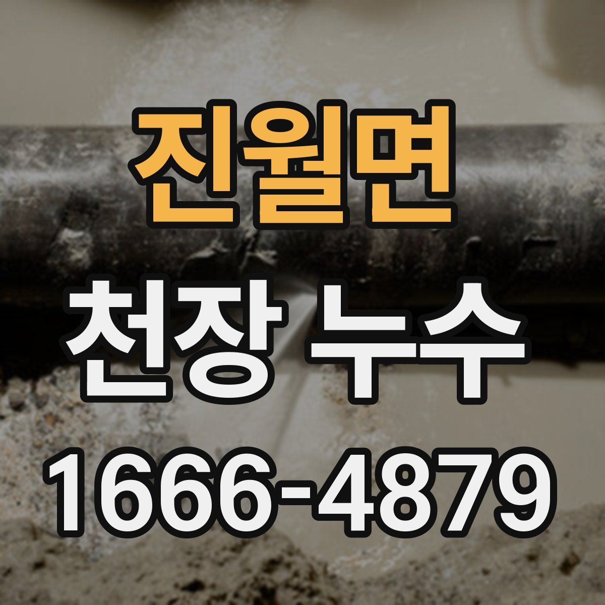 진월면 천장 누수