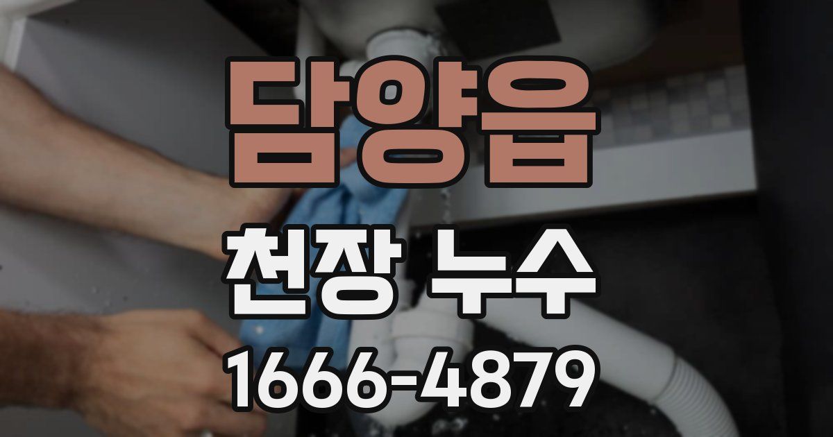 담양읍 천장 누수