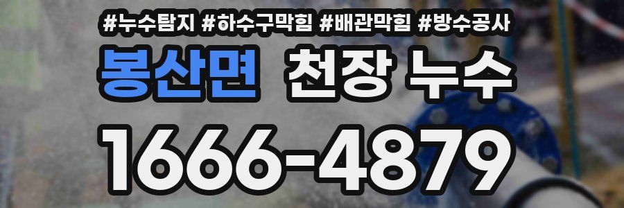 봉산면 천장 누수