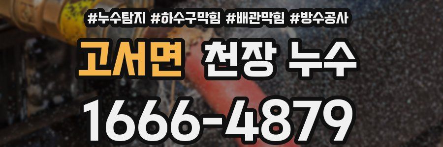 고서면 천장 누수