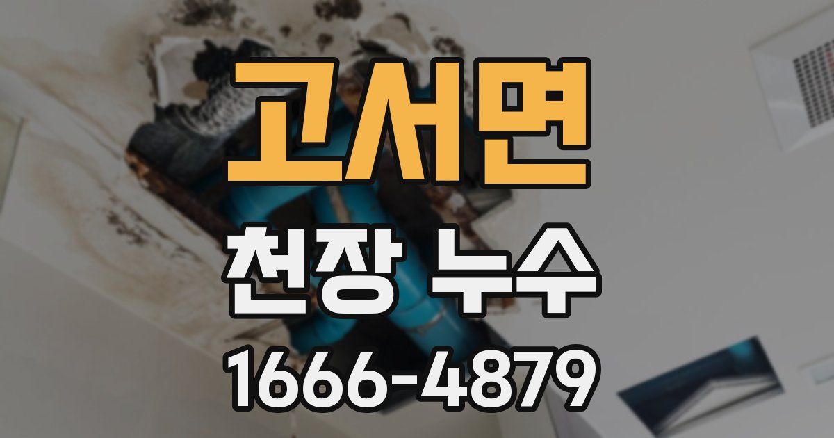 고서면 천장 누수