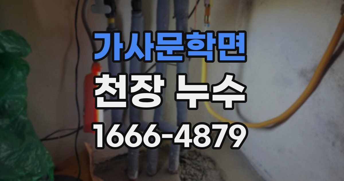 가사문학면 천장 누수