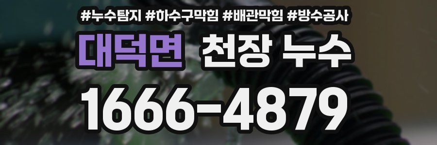 대덕면 천장 누수