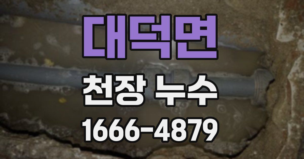 대덕면 천장 누수