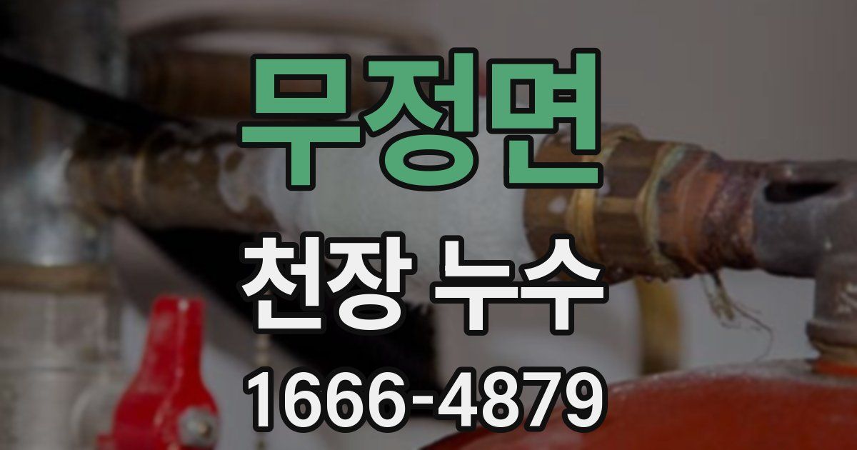 무정면 천장 누수