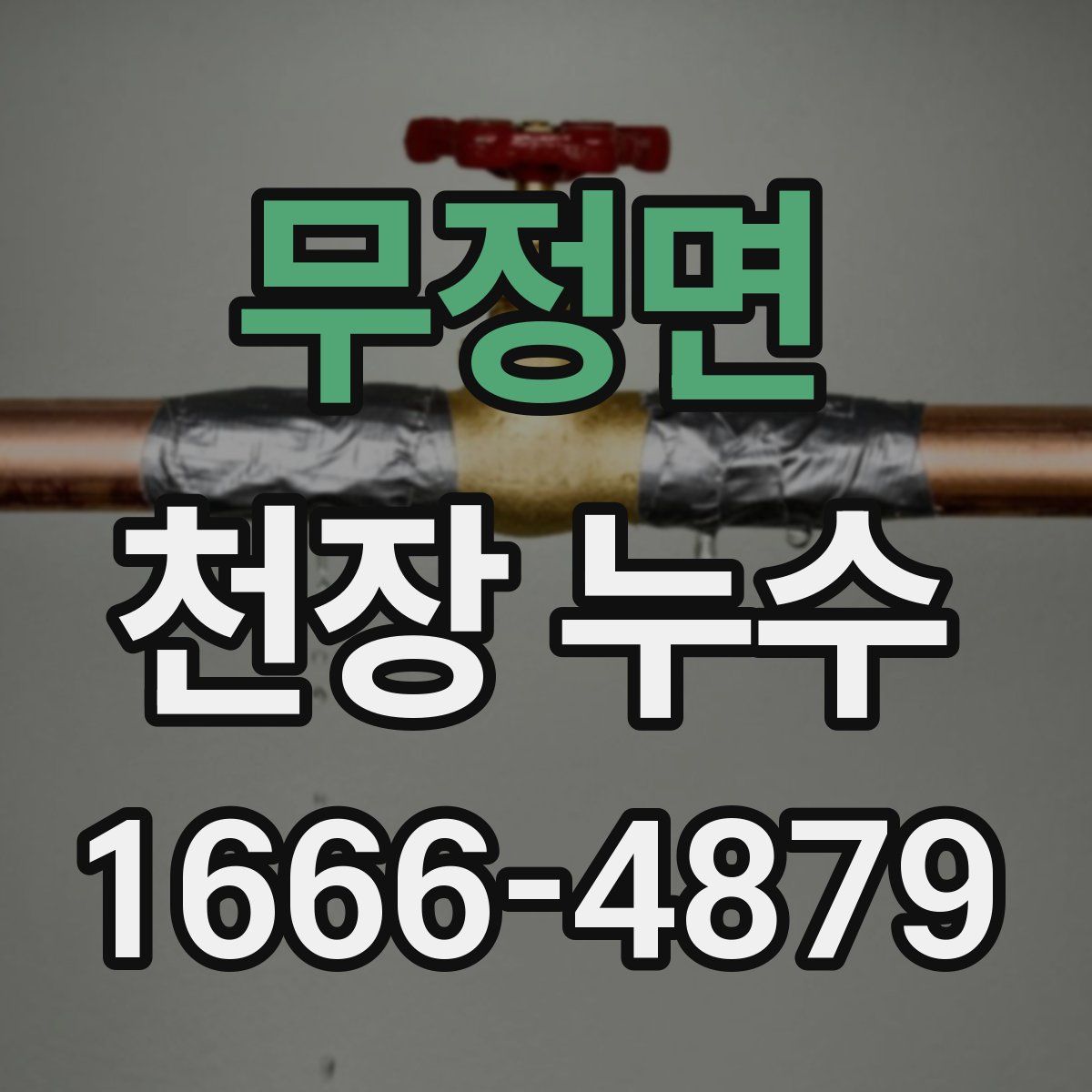 무정면 천장 누수
