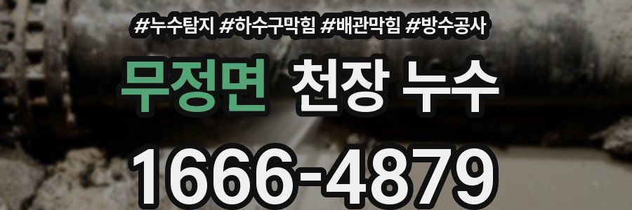 무정면 천장 누수