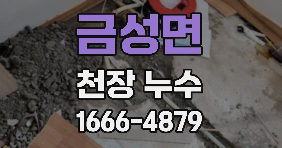 금성면 천장 누수