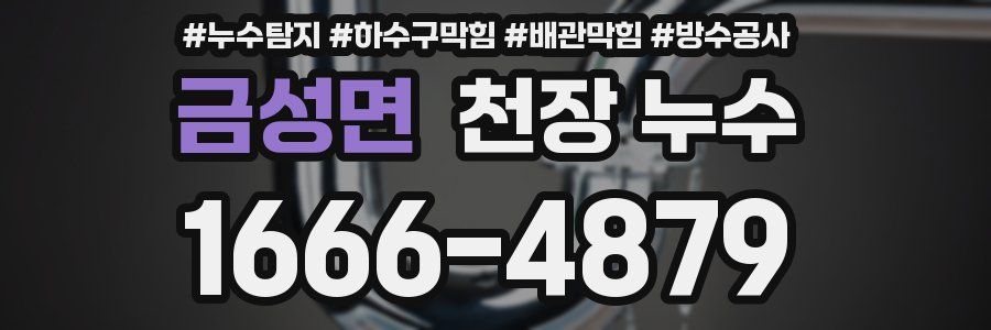 금성면 천장 누수
