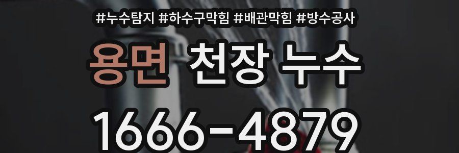 용면 천장 누수