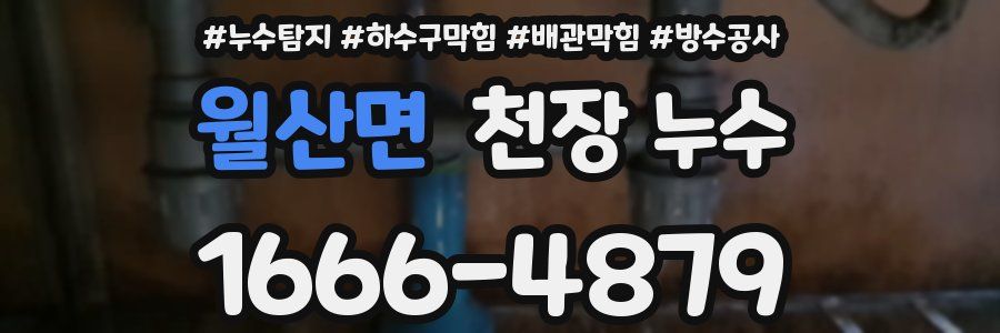 월산면 천장 누수