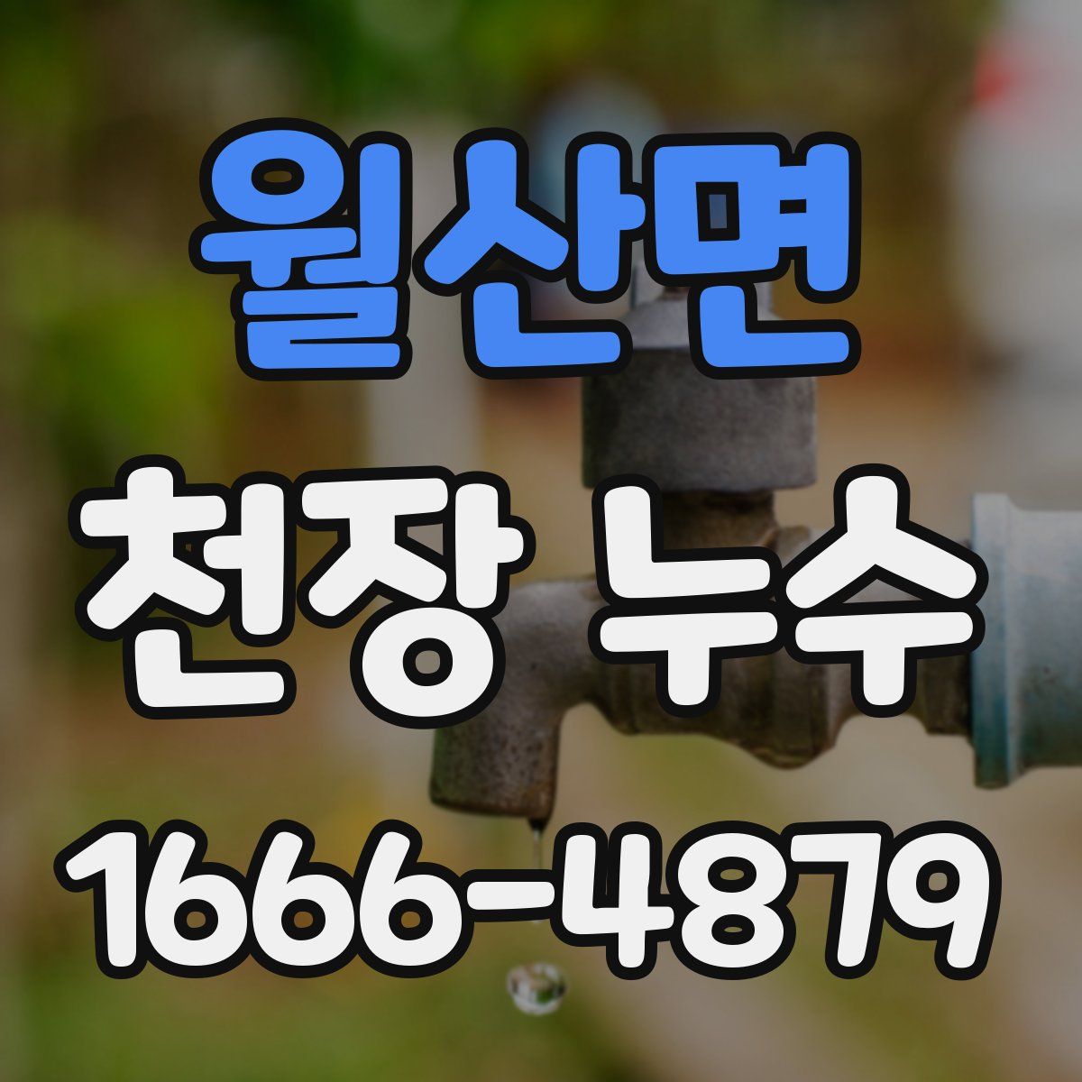 월산면 천장 누수
