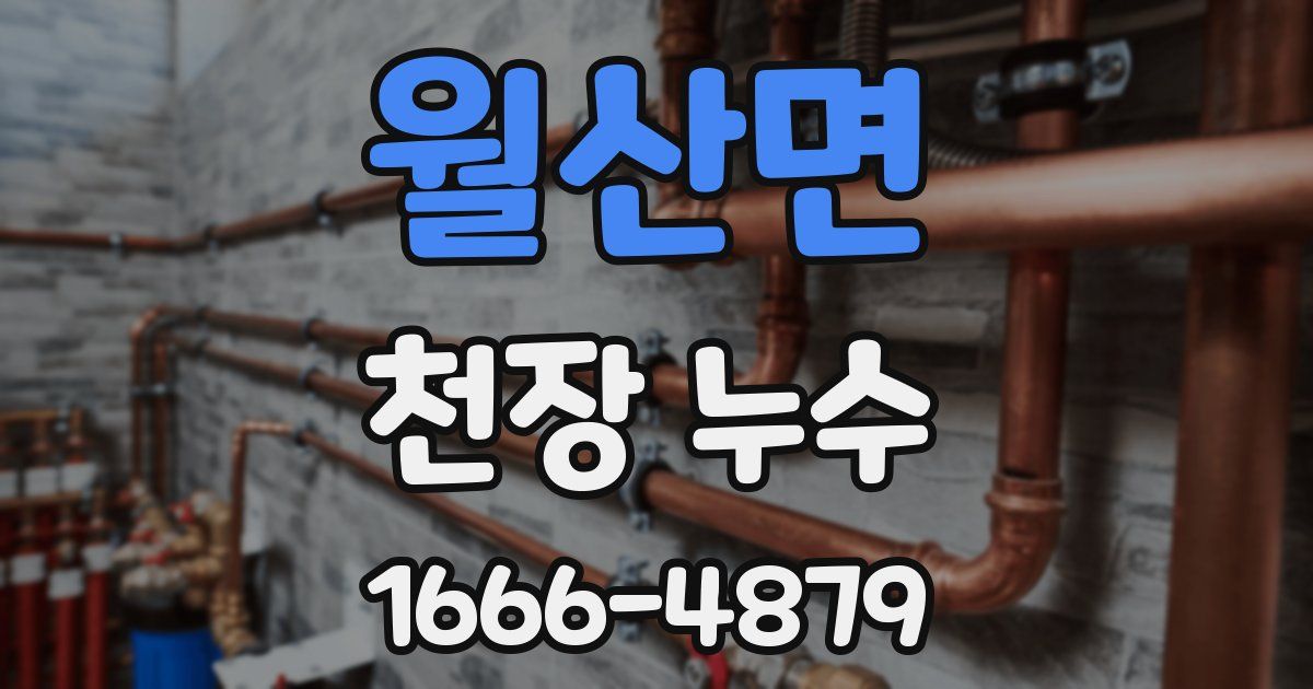 월산면 천장 누수