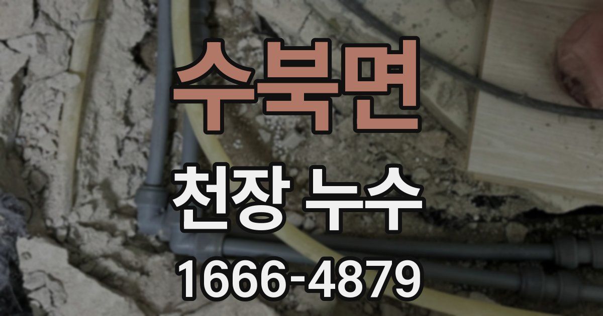 수북면 천장 누수