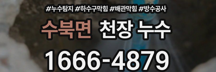 수북면 천장 누수