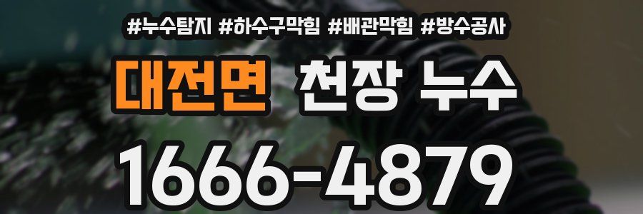 대전면 천장 누수
