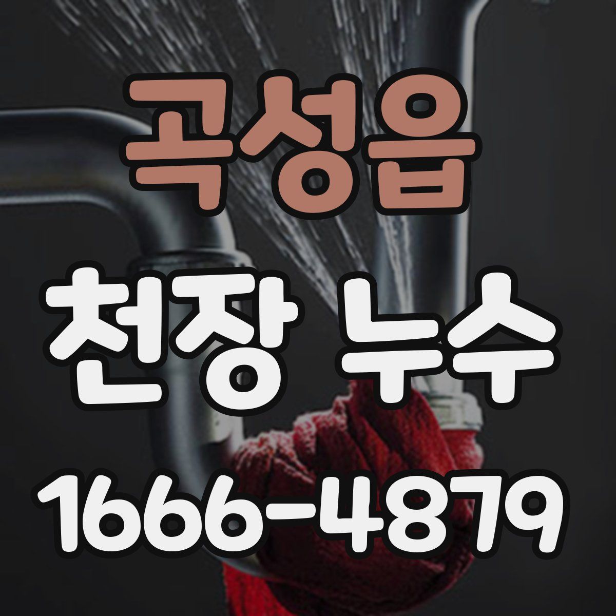곡성읍 천장 누수