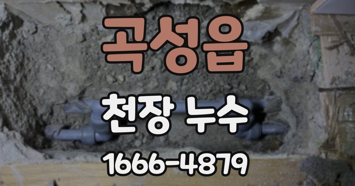 곡성읍 천장 누수