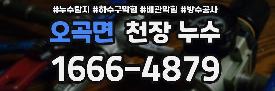 오곡면 천장 누수