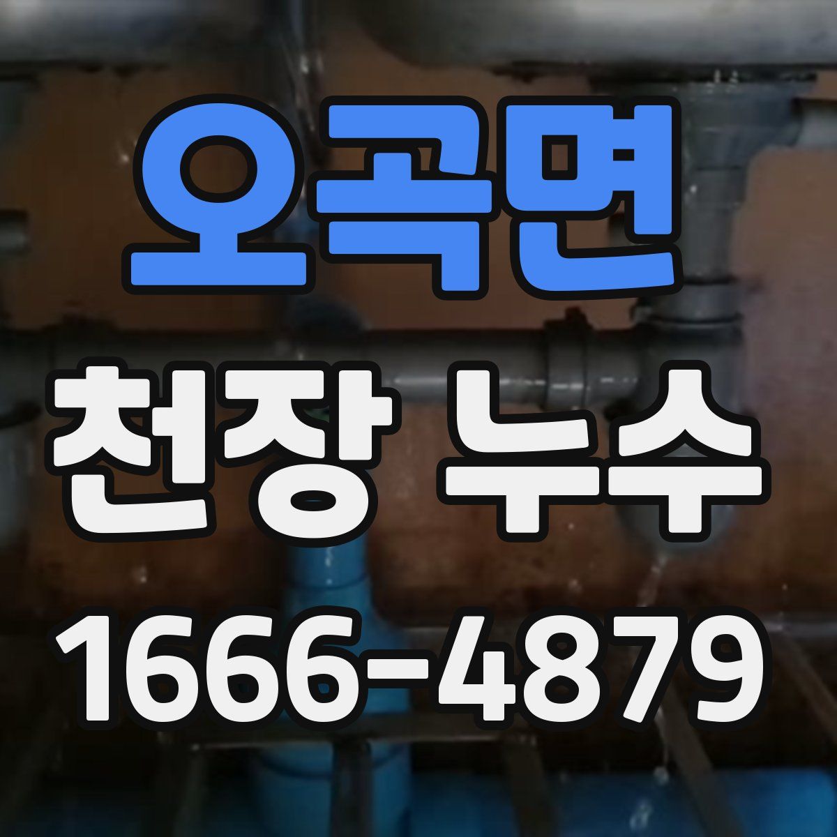 오곡면 천장 누수