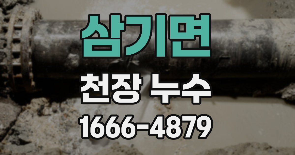 삼기면 천장 누수