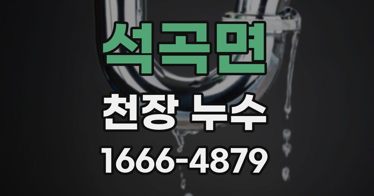 석곡면 천장 누수