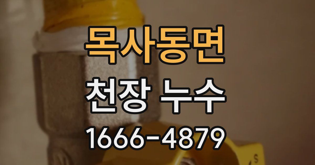 목사동면 천장 누수