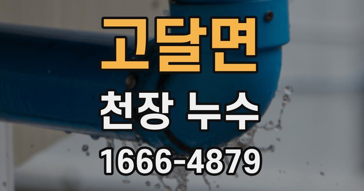 고달면 천장 누수