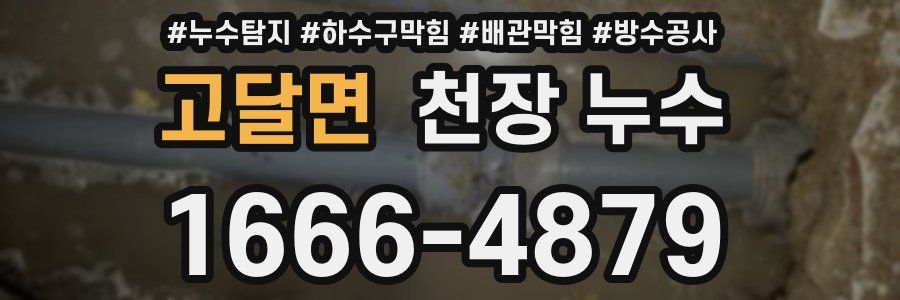 고달면 천장 누수