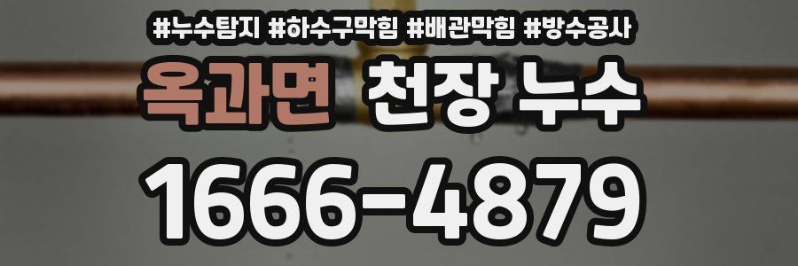 옥과면 천장 누수