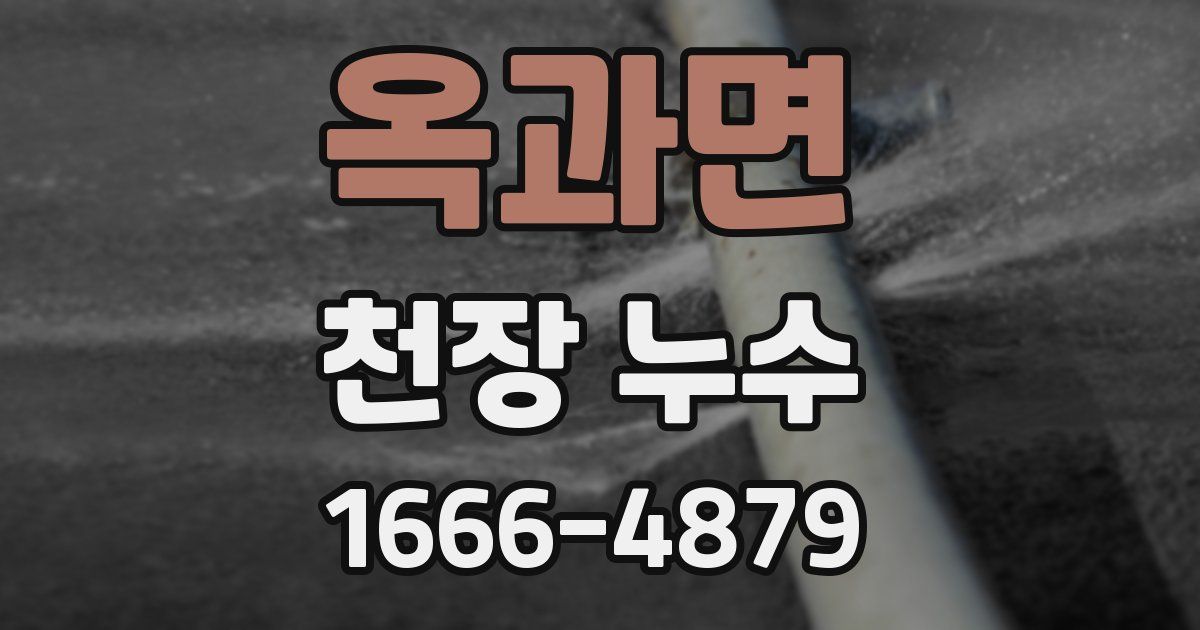 옥과면 천장 누수
