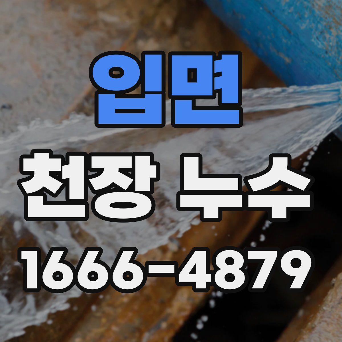 입면 천장 누수